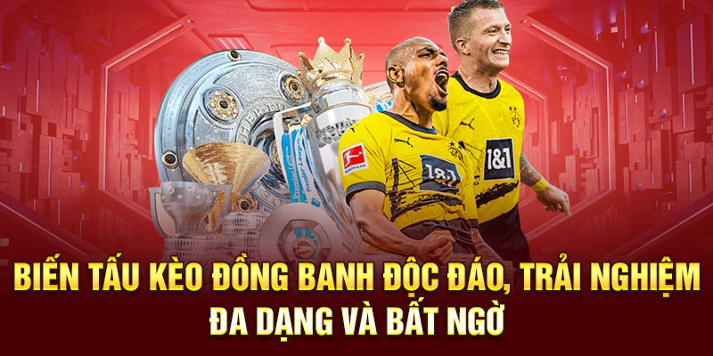 Biến tấu kèo đồng banh độc đáo, trải nghiệm đa dạng và bất ngờ