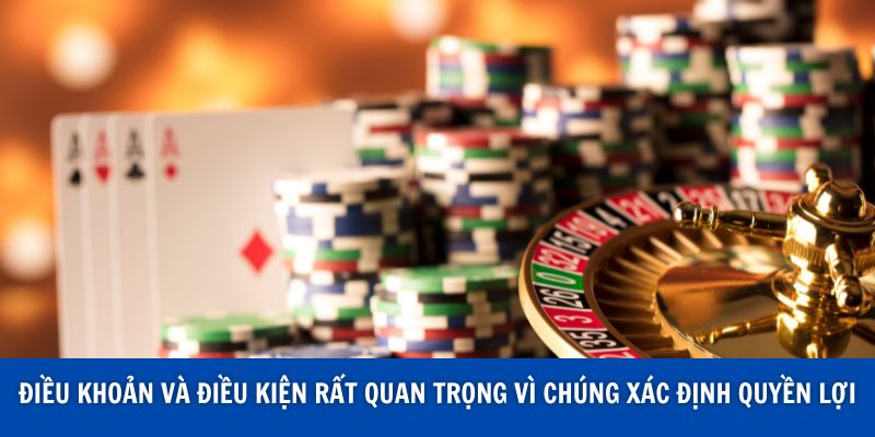 Điều khoản và điều kiện rất quan trọng vì chúng xác định quyền lợi