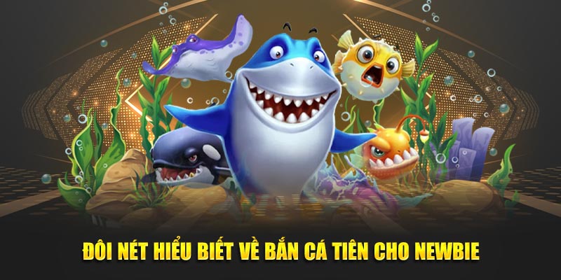 Đôi nét hiểu biết về Bắn cá Tiên cho newbie