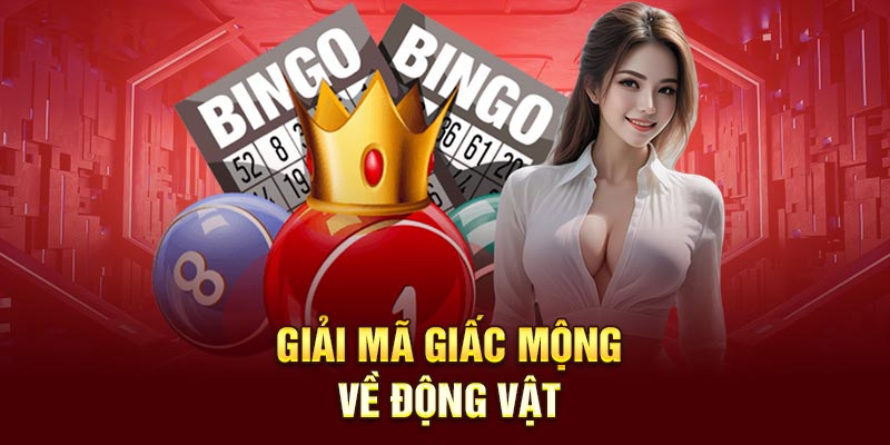 Giải mã giấc mộng về động vật